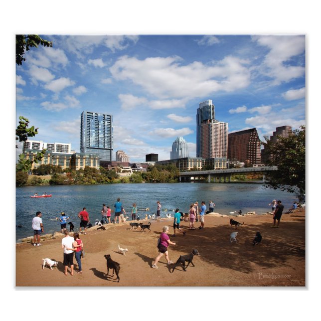 Foto Ladybird Lake Dog Park Austin Texas Skyline (Frente)