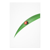 Ladybug Leaf