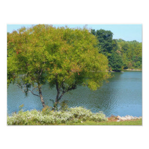 Foto Lago Centenário em Ellicott, Maryland
