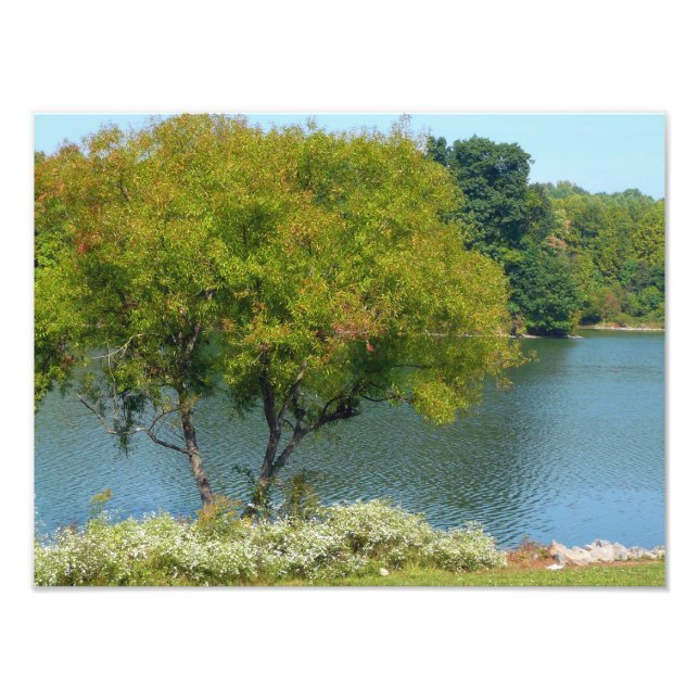 Foto Lago Centenário em Ellicott, Maryland (Frente)