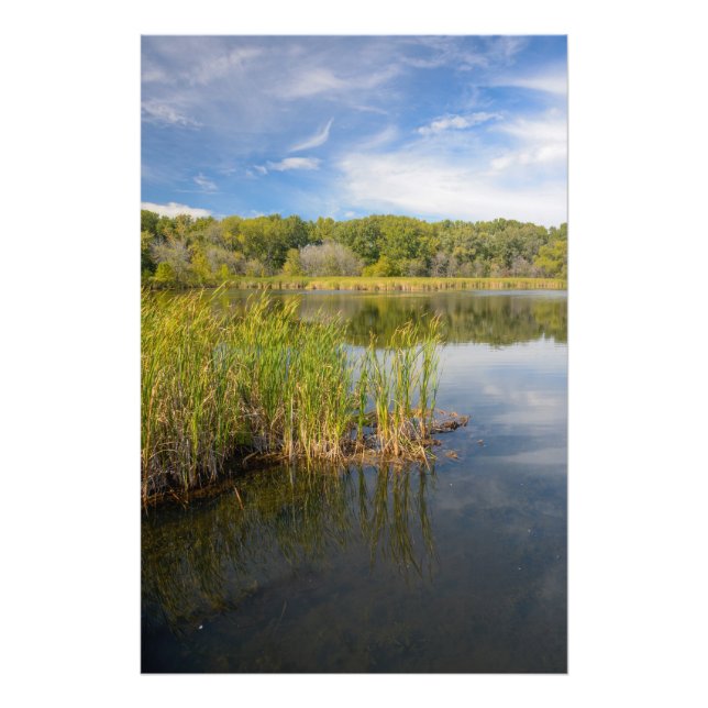 Foto Lago Grassy (Frente)