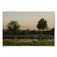 Lago Meadow