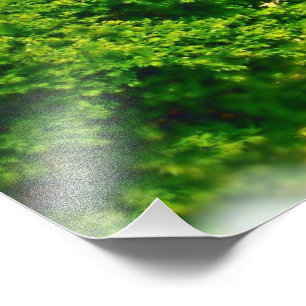 Foto Lakeshores da praia de Chicago