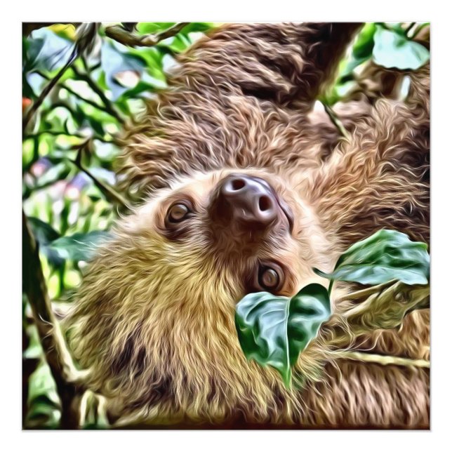 Foto Lama pintada (Frente)