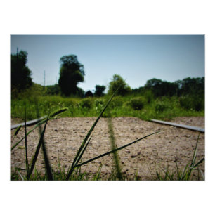 Foto "Lâminas de cultivo"