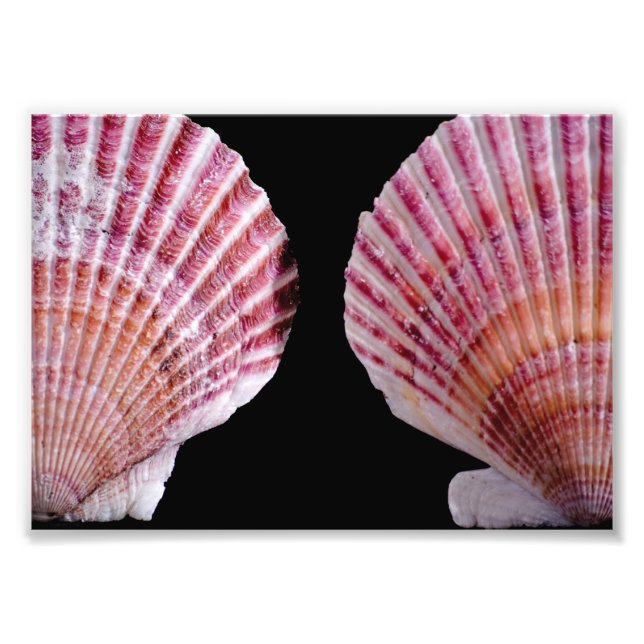 Foto Lâmpadas cor-de-rosa e laranja (Frente)