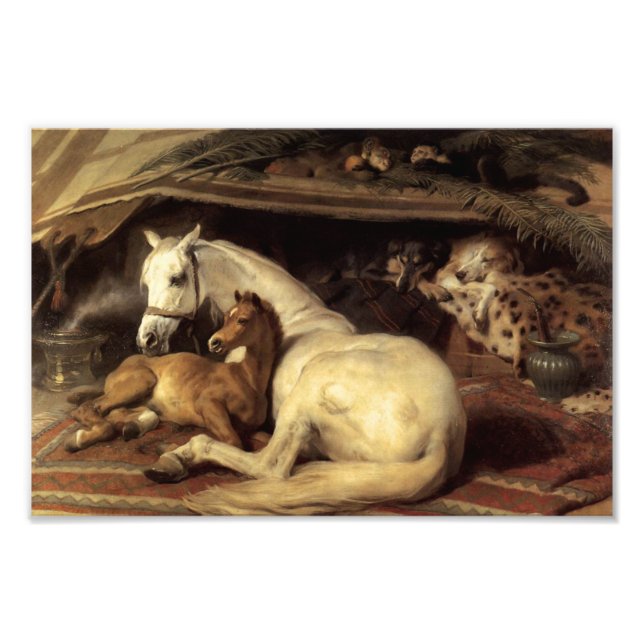 Foto Landseer The Arab Tent (Frente)