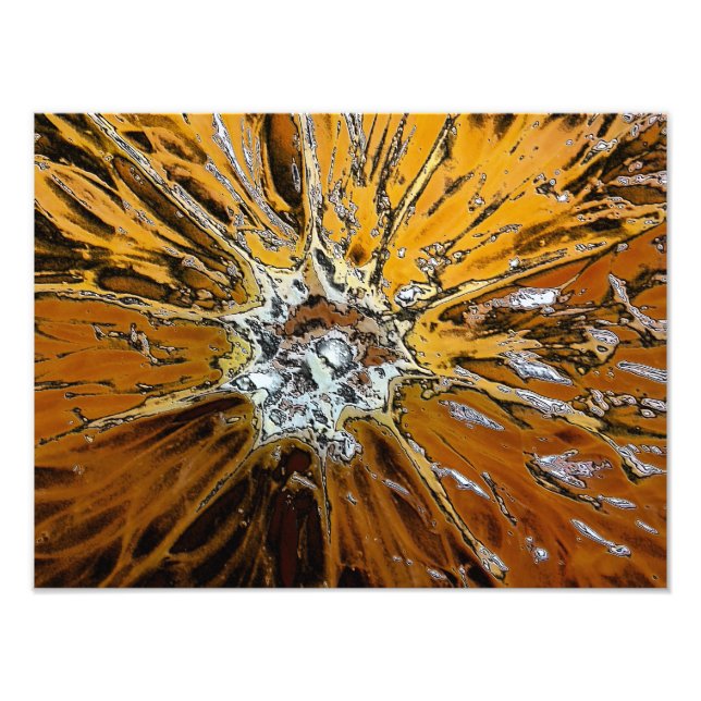 FOTO LARANJAS (Frente)