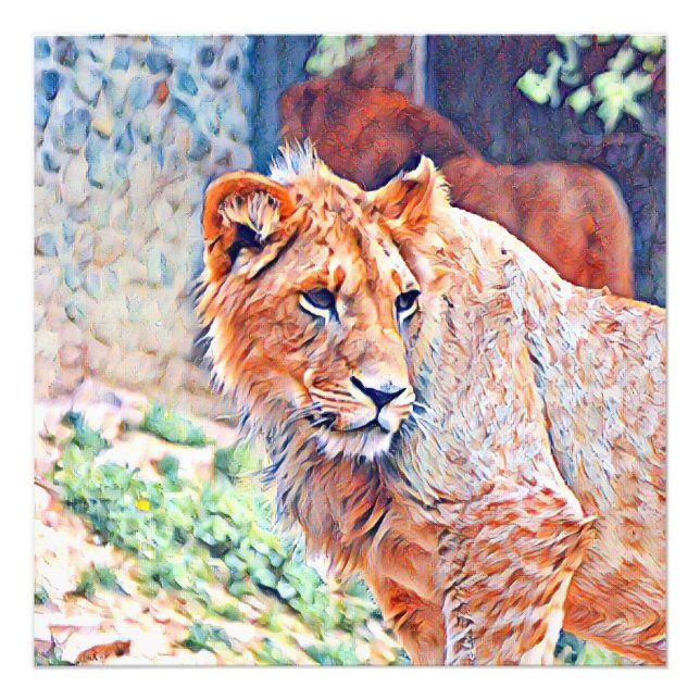 Foto leão aquarell (Frente)