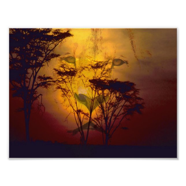 Foto Leão Olhando Sobre O Sunset Africano (Frente)