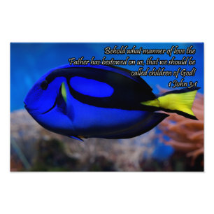 Foto Legal Bíblia cristã cita ditas inspiradoras