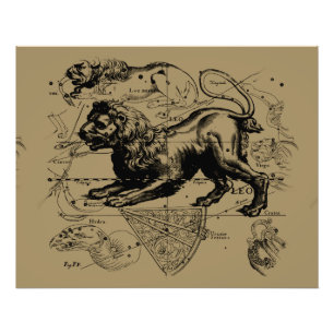 Foto Leo Constelle Hevelius 1690 julho 23 agosto 22