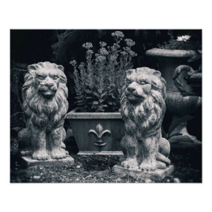 Foto Leões de Jardim