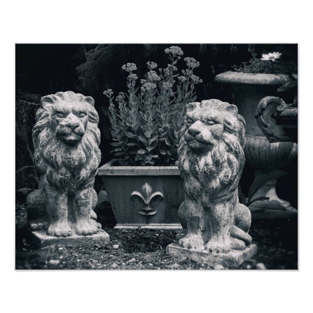 Foto Leões de Jardim (Frente)