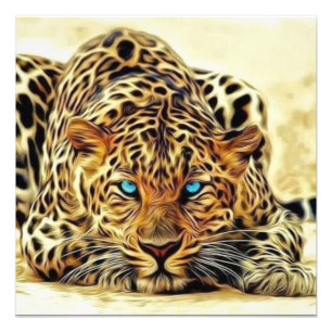 Foto Leopardo dos olhos azuis