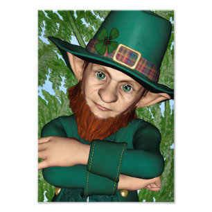 Foto Leprechaun