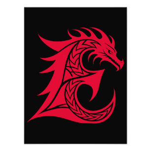 Foto Letra E Estilizada com Dragão, Alfabeto de Dragão,