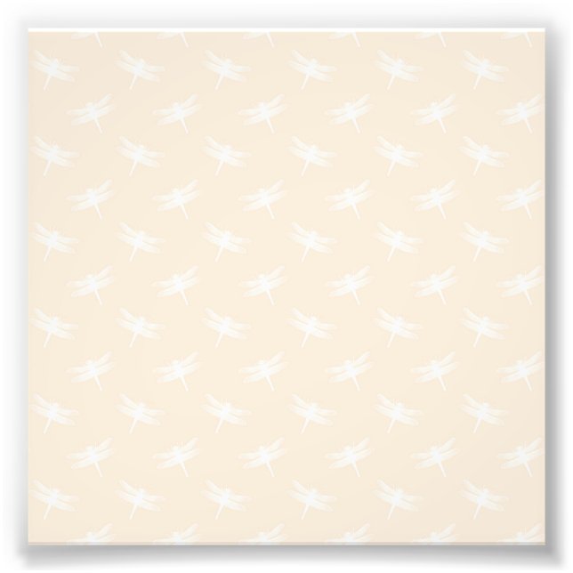 Foto Libélula Branca Odonata Inseto Voador Pastel (Frente)