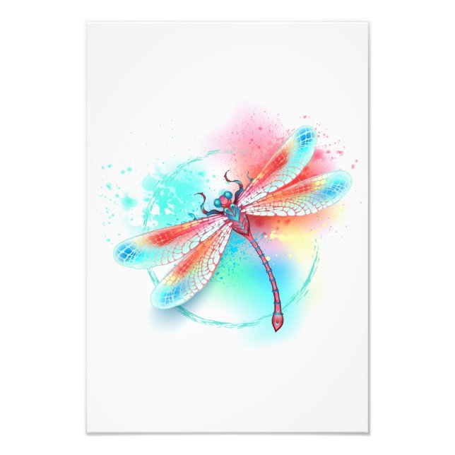 Foto libélula vermelha sobre fundo de aquarela (Frente)