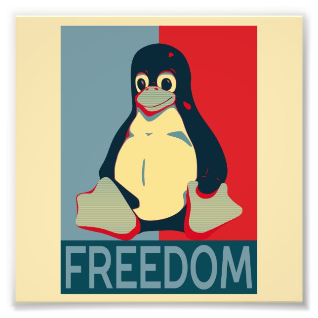 Foto Liberdade de transmissão para usuários Linux (Frente)