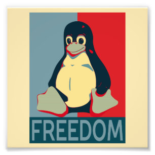 Foto Liberdade de Tux de usuários de Linux