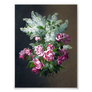 Foto Lilacs roxos do rosa do vintage e os brancos
