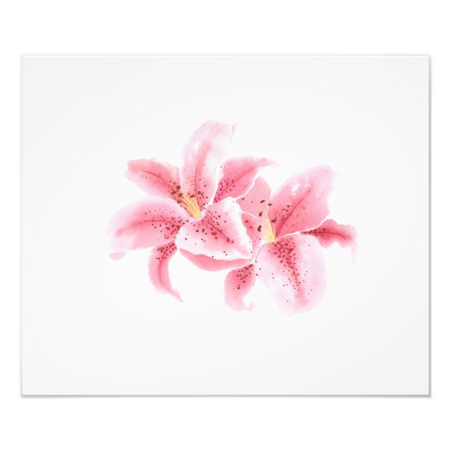 Foto Lílias, Esargazinas, Rosa, Aquarela (Frente)
