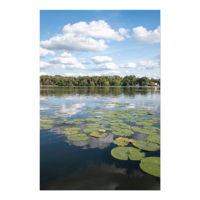 Foto Lily Pad Lake (Frente)