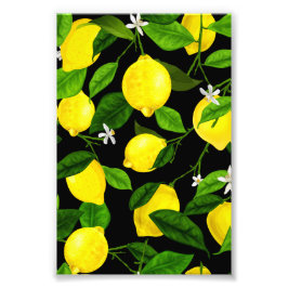 Foto Limão de Aquarela 2