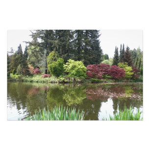 Foto linda paisagem do jardim botânico no verão, belo j