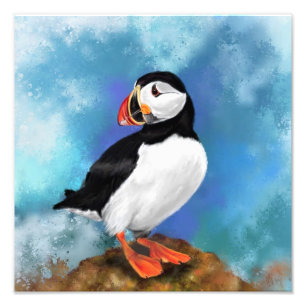 Foto Linda pintura de pássaros do Atlântico Puffin, A