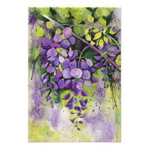 Foto Lindas Flores De Wisteria Em Aquarela