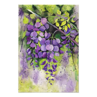 Foto Lindas Flores De Wisteria Em Aquarela