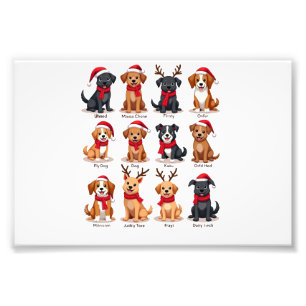 Foto Lindos 12 Cães Xmas Cachorros Engraçados Amantes d