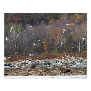 Foto Linha costeira do Rio Susquehanna