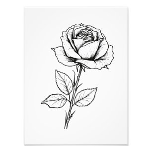 Foto Linha de Arte Rosa Preta e Branca