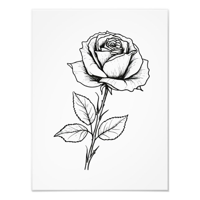 Foto Linha de Arte Rosa Preta e Branca (Frente)