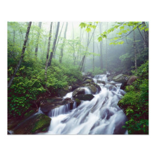 Foto Linn Cove Creek em cascata com neblina