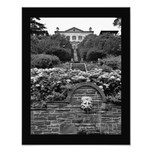 Foto Lion Garden