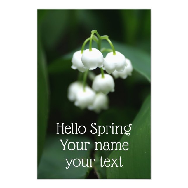 Foto Lírios brancos (Frente)