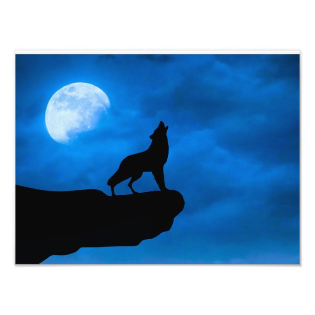 Foto Lobo à Noite (Frente)
