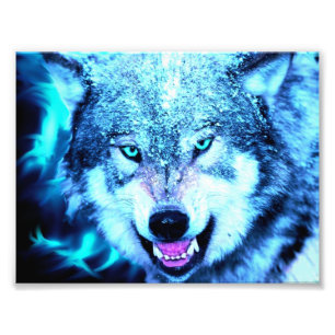 Foto Lobo assustador