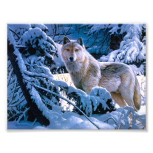 Foto Lobo na pintura da floresta de inverno