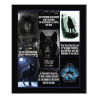 Lobo Negro Eu Nunca Perder