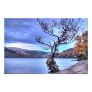 Foto Loch Lomond, Scotland Photo impressão