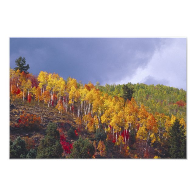 Foto Logan Canyon em Utah no outono com tempestade pass (Frente)