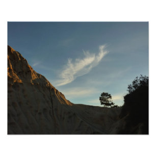 Foto Lone Torrey Pine California Sunset Landscape