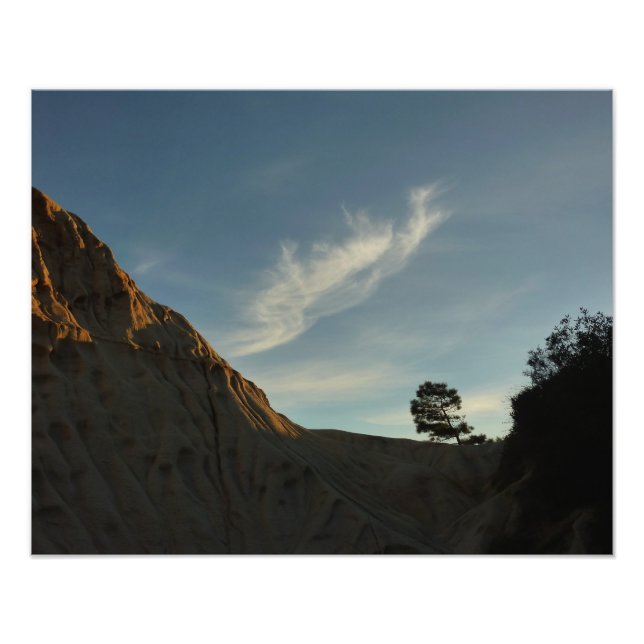 Foto Lone Torrey Pine California Sunset Landscape (Frente)