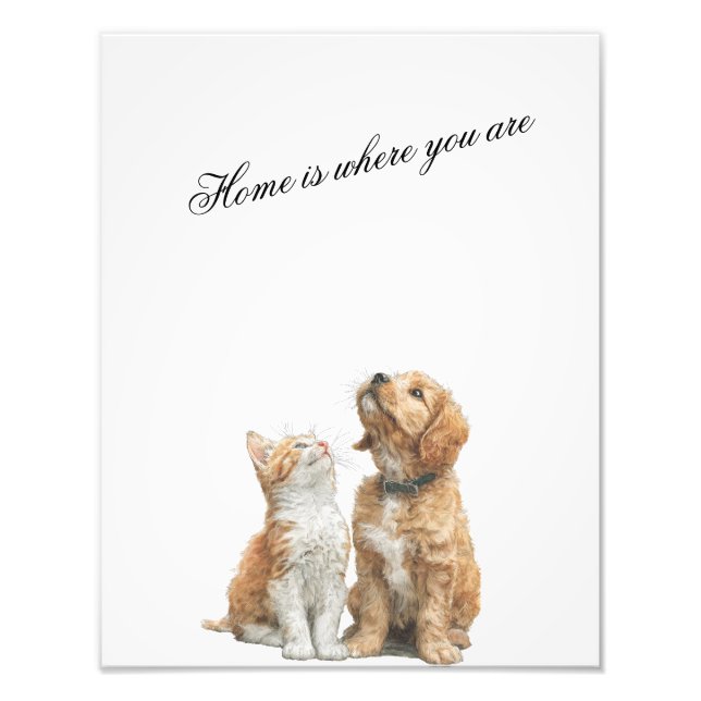 Foto Looking Up at You – Home Is Where You Are (Frente)