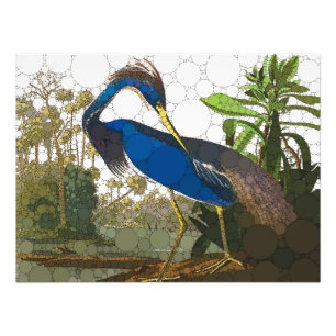 Foto Louisiana Blue Heron por causa de John James Audub